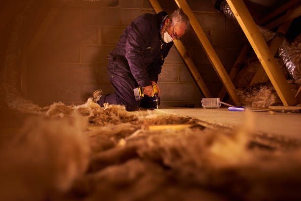 Best Blown-In Insulation  in Mckinney, TX